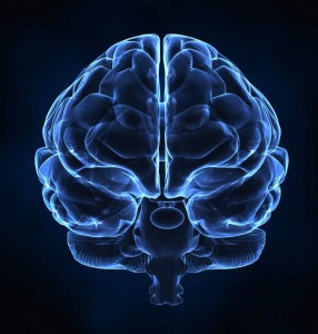 ADHD Neuroscience Details Matter