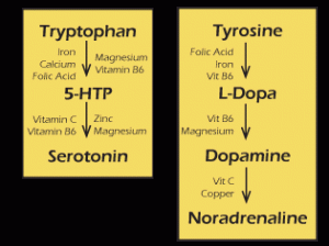copper mind, dopamine, norepinephrine